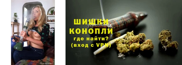 шишки Новокубанск