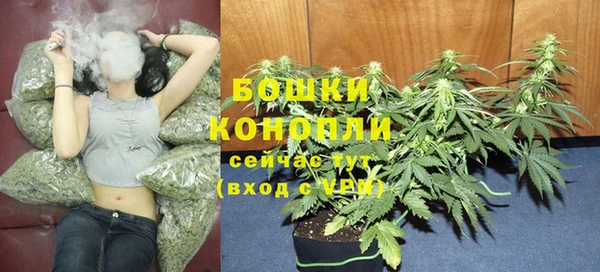 первитин Нягань