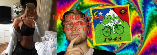PSILOCYBIN Нязепетровск