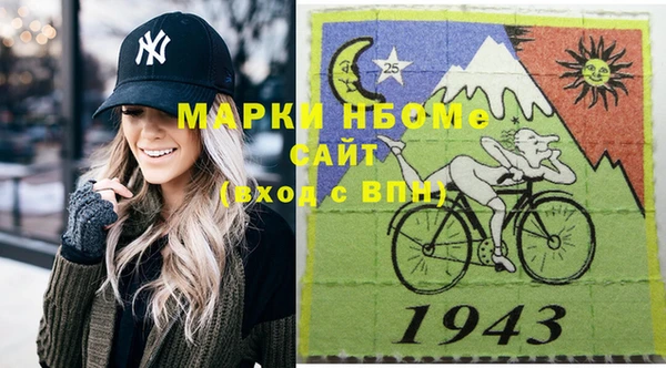 шишки Новокубанск