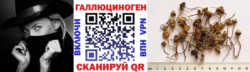 Псилоцибиновые грибы мицелий  мега онион  Мегион 