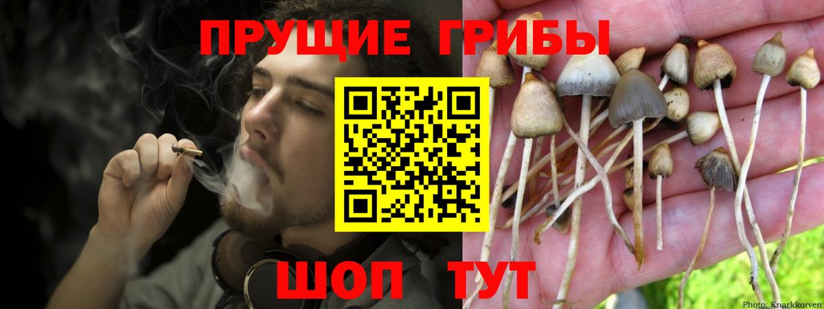Галлюциногенные грибы MAGIC MUSHROOMS Мегион